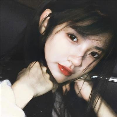 彩叶草之梦